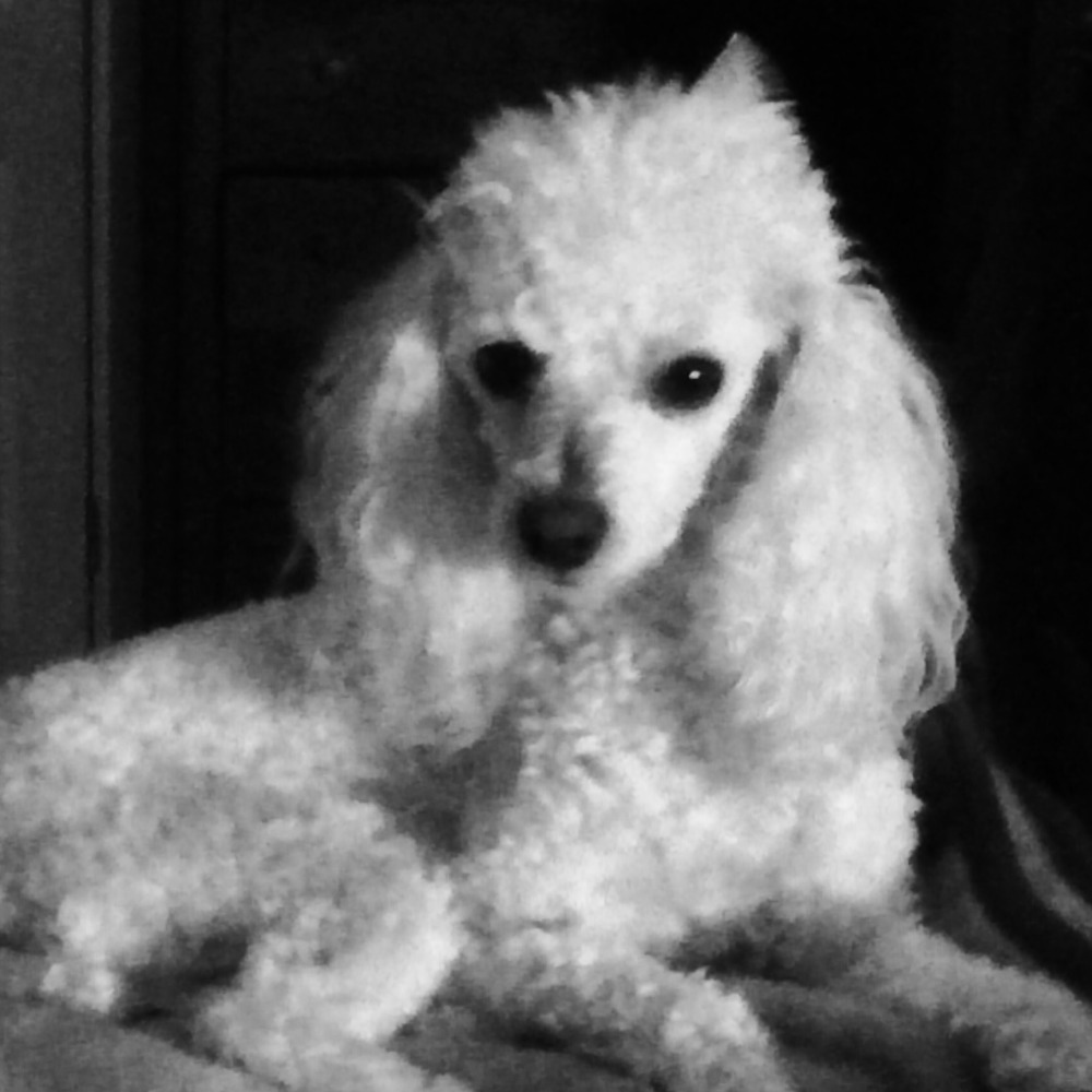 Meet your Posher, Marla